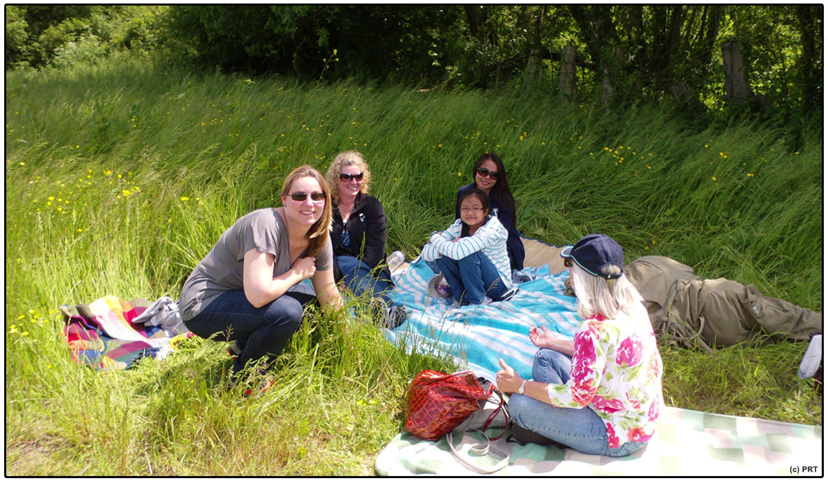 LJT Support Team