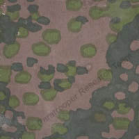 PLANTANENMUSTER SPRING