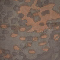 PLANTANENMUSTER AUTUMN